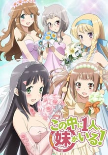 Kono Naka ni Hitori Imouto ga Iru เธอนะหรือคือน้องสาวผม ซับไทย